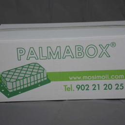 Palmabox Palmabox